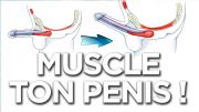  <font size="5px">Sex-tao et l'exercice du muscle PC pour muscler ton penis </font>